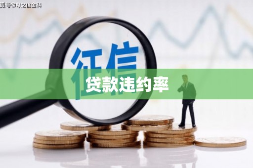 宁乡贷款违约率
