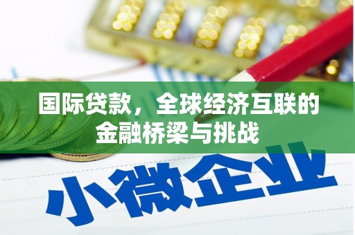 宁乡国际贷款，全球经济互联的金融桥梁与挑战