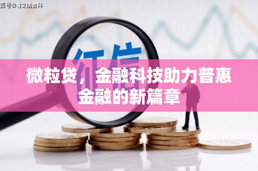 宁乡微粒贷，金融科技助力普惠金融的新篇章