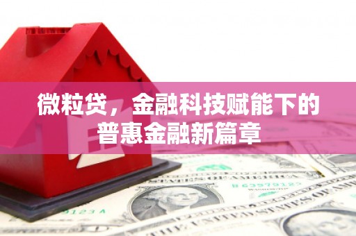 宁乡微粒贷，金融科技赋能下的普惠金融新篇章