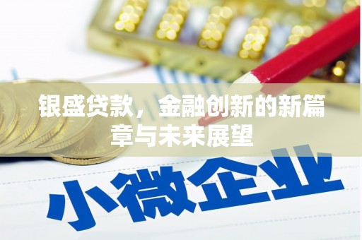 宁乡银盛贷款，金融创新的新篇章与未来展望