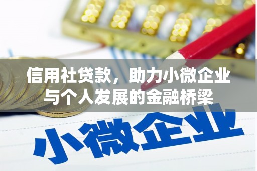 宁乡信用社贷款，助力小微企业与个人发展的金融桥梁