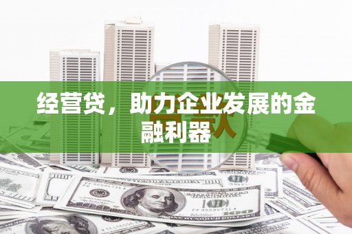 宁乡经营贷，助力企业发展的金融利器