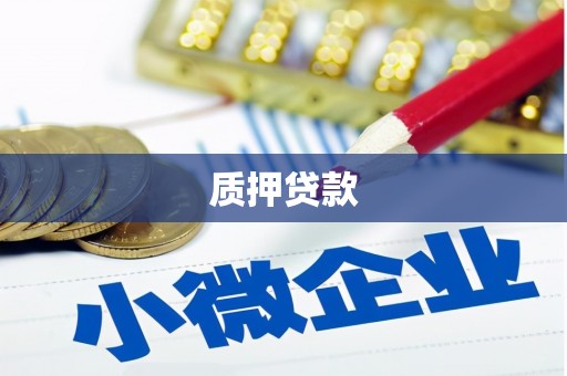 宁乡质押贷款