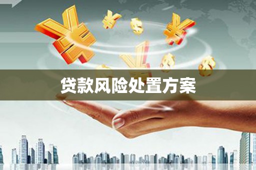 宁乡贷款风险处置方案
