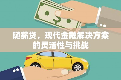宁乡随薪贷，现代金融解决方案的灵活性与挑战