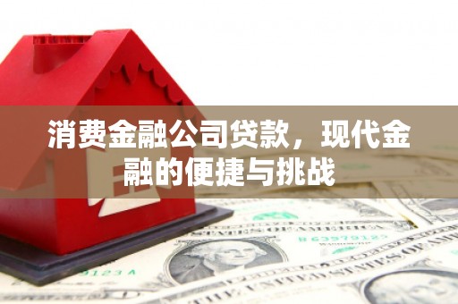 宁乡消费金融公司贷款，现代金融的便捷与挑战