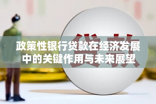 宁乡政策性银行贷款在经济发展中的关键作用与未来展望