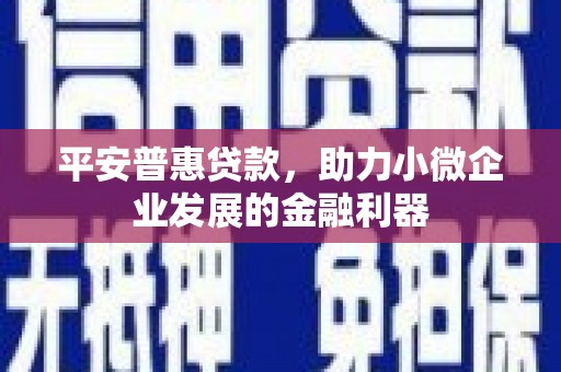 宁乡平安普惠贷款，助力小微企业发展的金融利器