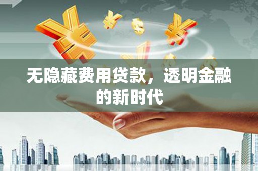 宁乡无隐藏费用贷款，透明金融的新时代