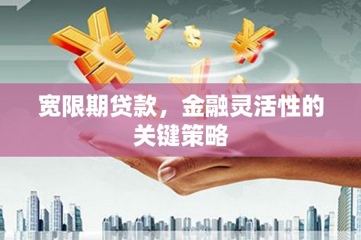 宁乡宽限期贷款，金融灵活性的关键策略