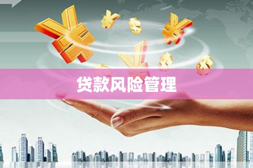 宁乡贷款风险管理
