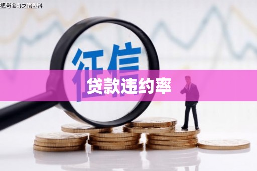 宁乡贷款违约率