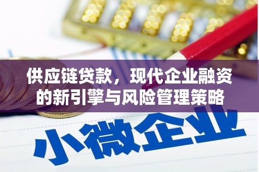 宁乡供应链贷款，现代企业融资的新引擎与风险管理策略