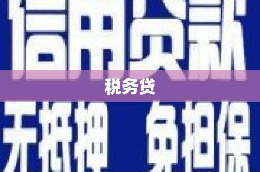 宁乡税务贷