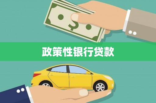 宁乡政策性银行贷款