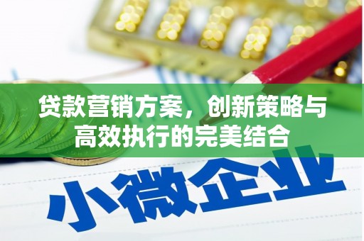 宁乡贷款营销方案，创新策略与高效执行的完美结合