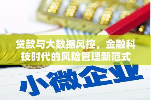 宁乡贷款与大数据风控，金融科技时代的风险管理新范式