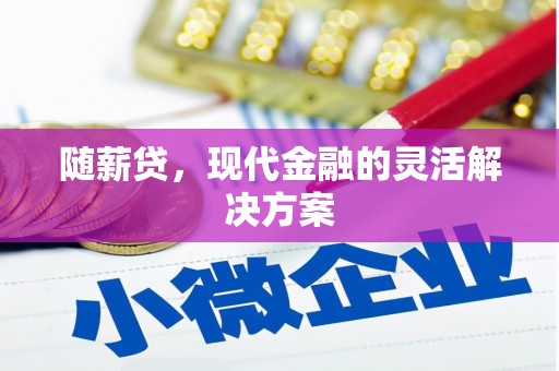 宁乡随薪贷，现代金融的灵活解决方案