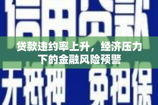 宁乡贷款违约率上升，经济压力下的金融风险预警