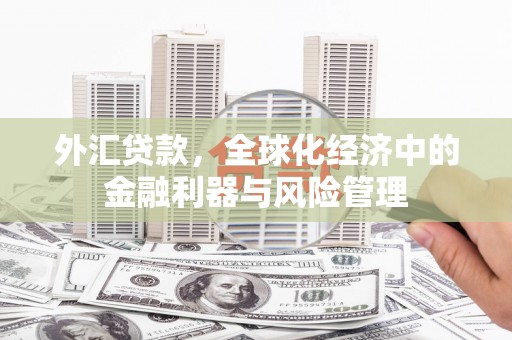 宁乡外汇贷款，全球化经济中的金融利器与风险管理