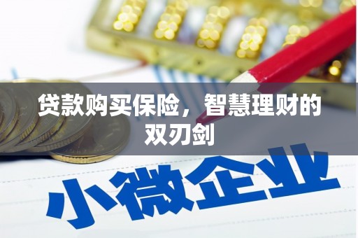 宁乡贷款购买保险，智慧理财的双刃剑