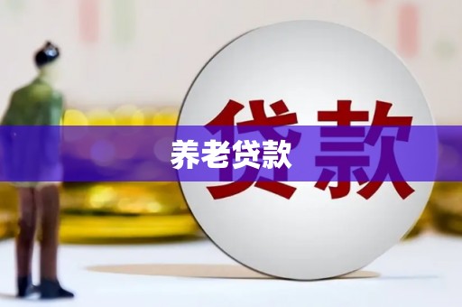 宁乡养老贷款