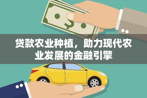 宁乡贷款农业种植，助力现代农业发展的金融引擎