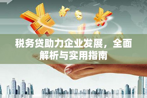 宁乡税务贷助力企业发展，全面解析与实用指南