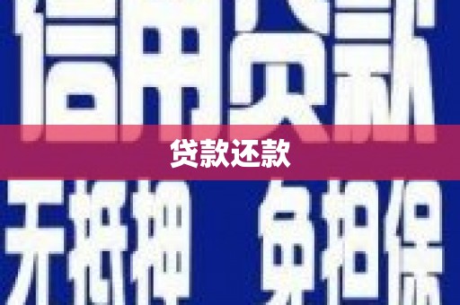 宁乡贷款还款