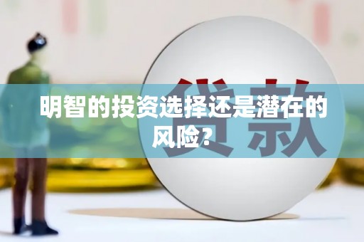 宁乡明智的投资选择还是潜在的风险？