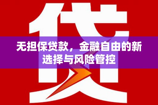 宁乡无担保贷款，金融自由的新选择与风险管控