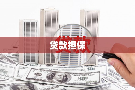 宁乡贷款担保