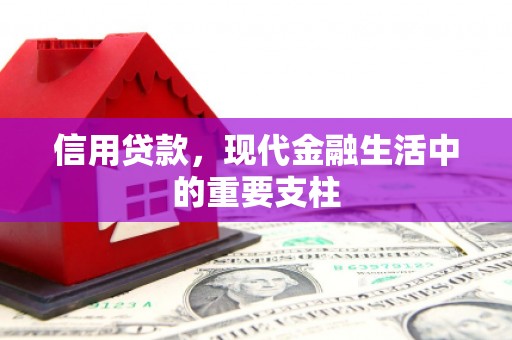 宁乡信用贷款，现代金融生活中的重要支柱