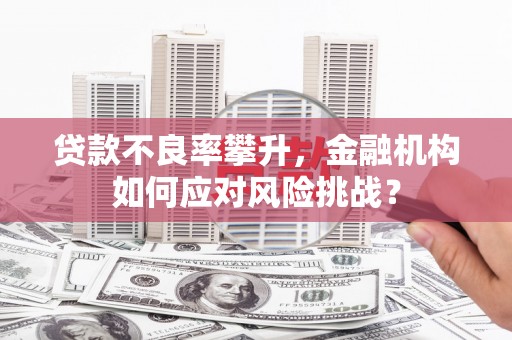 宁乡贷款不良率攀升，金融机构如何应对风险挑战？
