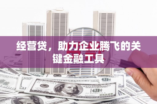 宁乡经营贷，助力企业腾飞的关键金融工具