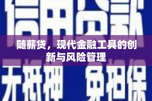 宁乡随薪贷，现代金融工具的创新与风险管理