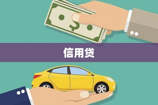 宁乡信用贷