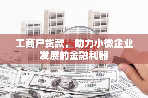 宁乡工商户贷款，助力小微企业发展的金融利器
