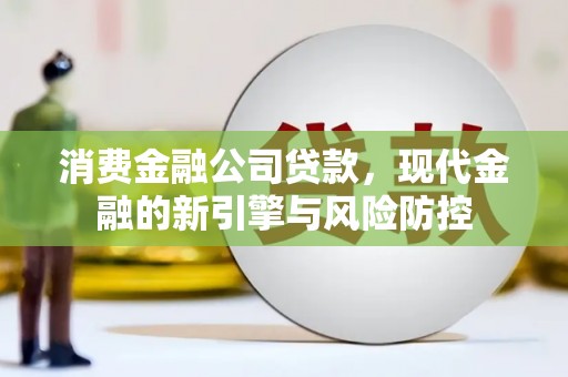 宁乡消费金融公司贷款，现代金融的新引擎与风险防控