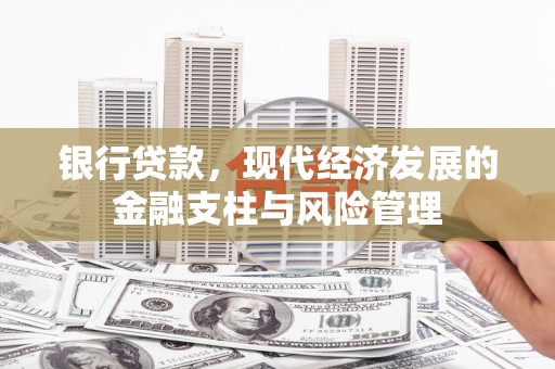 宁乡银行贷款，现代经济发展的金融支柱与风险管理