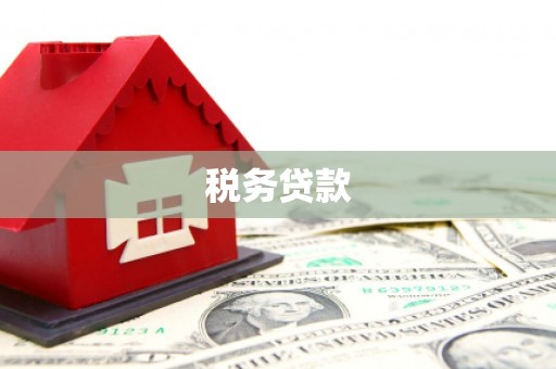 宁乡税务贷款
