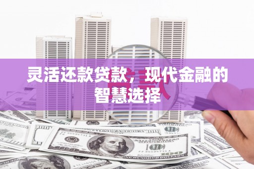 宁乡灵活还款贷款，现代金融的智慧选择