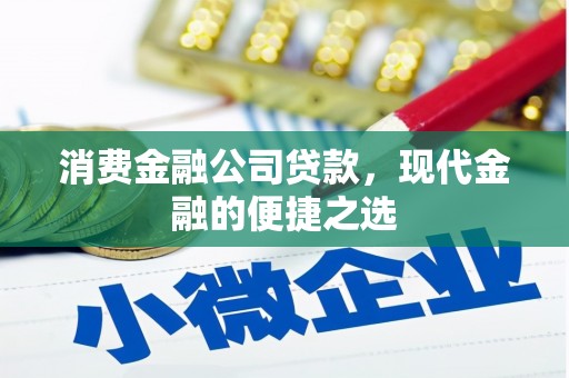 宁乡消费金融公司贷款，现代金融的便捷之选