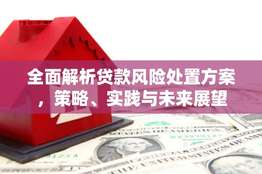 宁乡全面解析贷款风险处置方案，策略、实践与未来展望