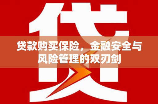 宁乡贷款购买保险，金融安全与风险管理的双刃剑