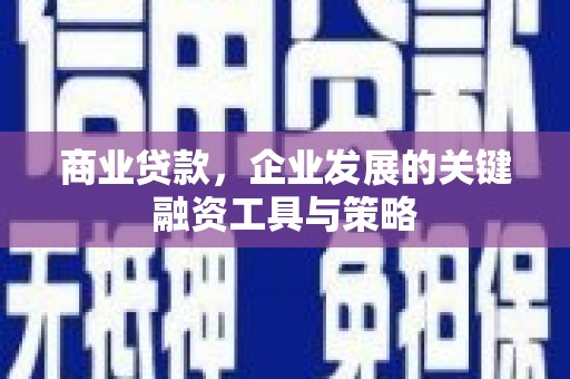 宁乡商业贷款，企业发展的关键融资工具与策略
