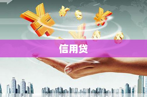宁乡信用贷