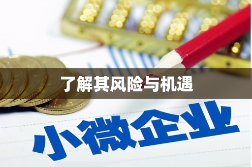 宁乡了解其风险与机遇