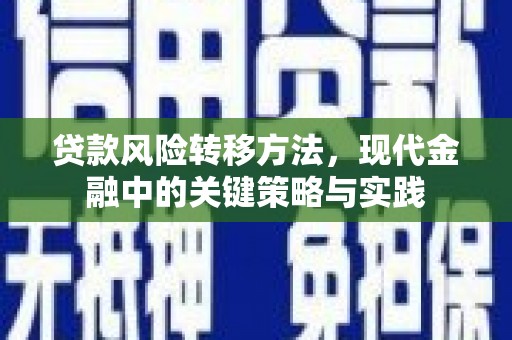 宁乡贷款风险转移方法，现代金融中的关键策略与实践